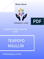 Plan de Trabajo Teapoyo Maullin
