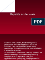 Hepatita-virala-acuta-ppt
