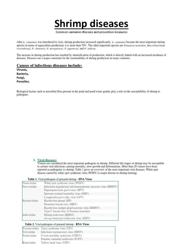 Shrimp Diseases | PDF | Virus | Pathogen
