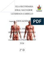 Educ. Fís, Act.6, Los Músculos y Sus Funciones