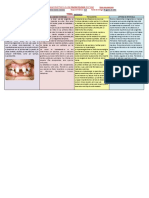 Documento PDF