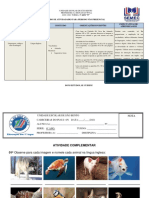 Ficha de Roteiro e Atividade Complementar 6º Ano