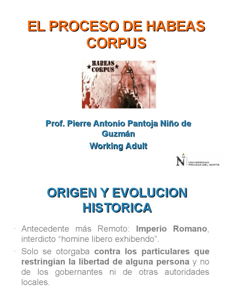 Proceso de Habeas Corpus: Historia y Modalidades | PDF | Habeas corpus ...