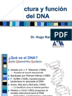 DNA: estructura y función de la doble hélice