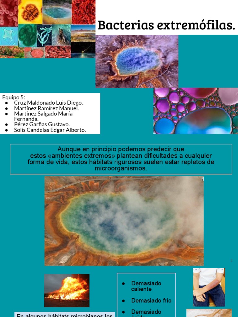 10) Bacterias Extremofilas | PDF | Proteínas | Las bacterias