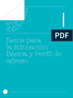 Curriculo-nacional-2017 Cap I Retos