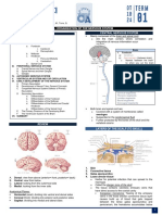 OT1024 - 1S1L - Organization of The Nervous System-Compressed