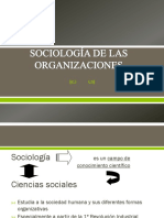 Sociología de Las Organizaciones