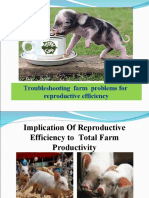 Troubleshooting Farm Problems For Reproductive Efficiency