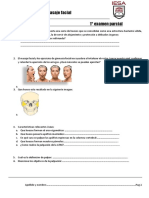 1° Parcial Masaje Facial