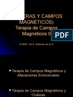 Chakras y Cmpos Magneticos-E. Gallardo de La O