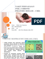 Rizky Arya Gunawan - 1902101010104 - Penyakit Pernafasan Kronik (Chronic Respiratory Disease)