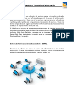 1 1 Administrador de Base de Datos (DBA)