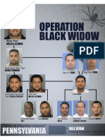 Op-black-widow-chart