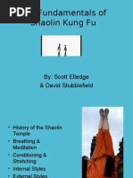 Download eBook Martial Arts the Fundamentals of Shaolin Kung Fu by Declan Max Brohan SN52615904 doc pdf