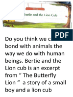 Bertie and The Lion Cub
