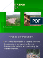 Deforestation in Jamaica