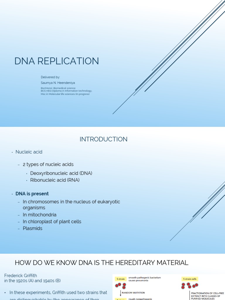 Understanding DNA Replication and Structure | PDF | Dna Replication | Dna