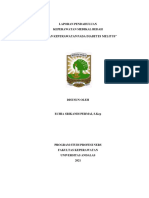 LP Diabetes Mellitus