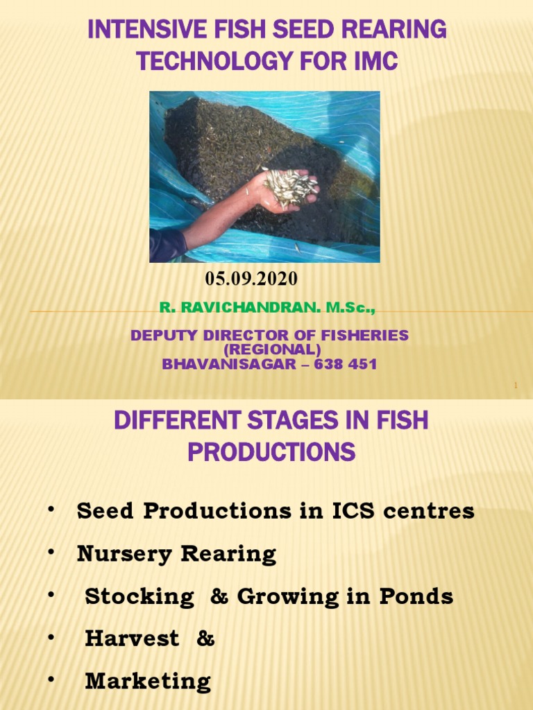 Intensive Fish Seed Rearing Techniques | PDF | Soil | Water