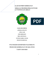 Profesi Bidan