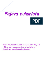 A.J. POJAVA EUKARIOTA - 1.f, A, C