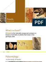 Formation of Fossils