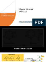 Catabolismo de Nucleótidos y Bases Nitrogenadas 2020