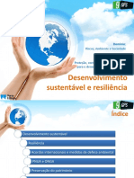 20 Desenvolvimento Sustentavel Resiliencia