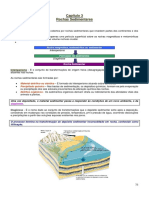 Rochas Sedimentares: Formação e Processos Diagenéticos