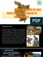 13.- Visión real de la Región San Martín en el desarrollo sustentable en PDF