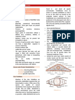 Kingdom Animalia Phylum Platyhelminthes: Systematics Laboratory