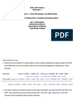 1 Oxidative Phosphorylation