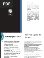 Plantilla Perfil de Egreso Andres