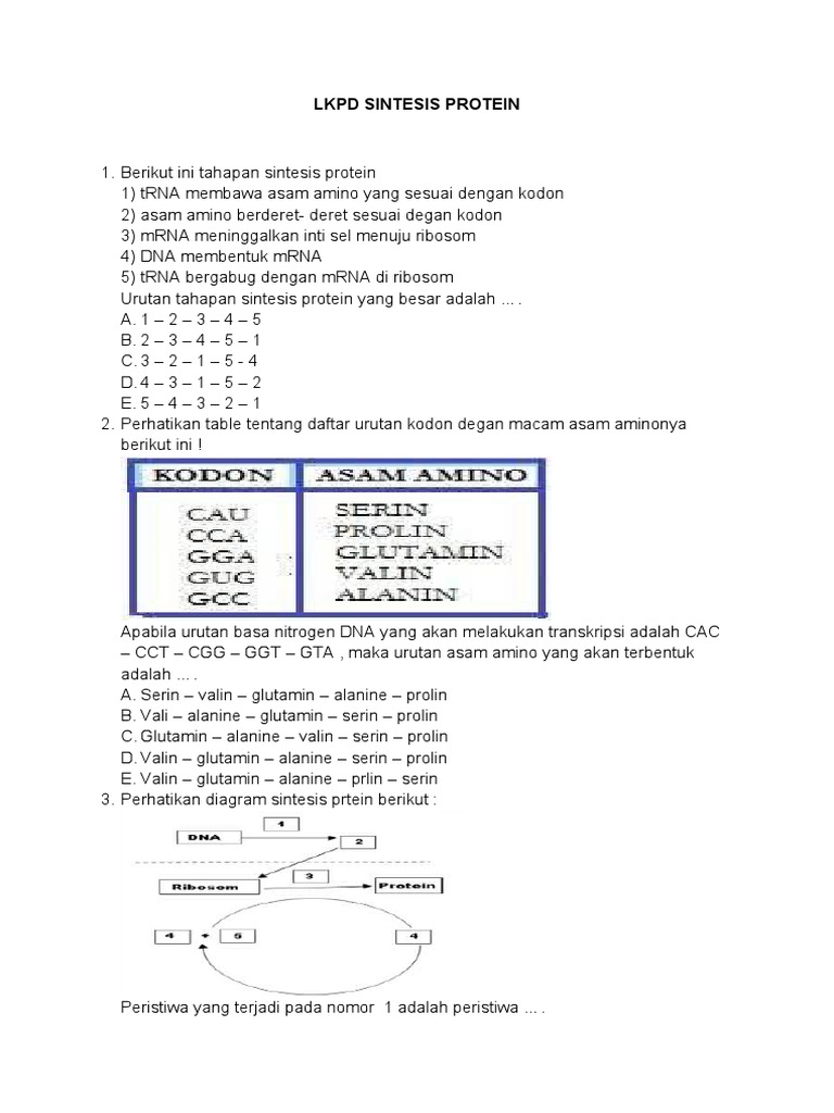LKPD Sintesis Protein Kelas 12 | PDF
