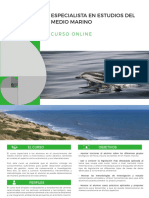 Estudios Medio Marino Curso Online