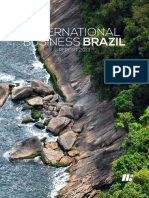 International Business Brazil: REPORT 2013