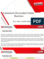 5 - Diversidad Celular - Bacterias