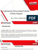 7_Diversidad Celular_Célula Vegetal