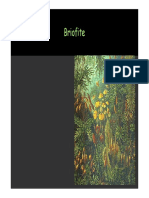 11. Briofite