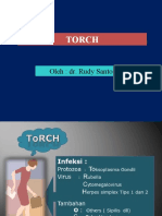 TORCH