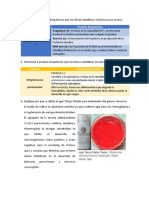 Mencione 3 Pruebas Bioquímicas Que Nos Llevan Identificar