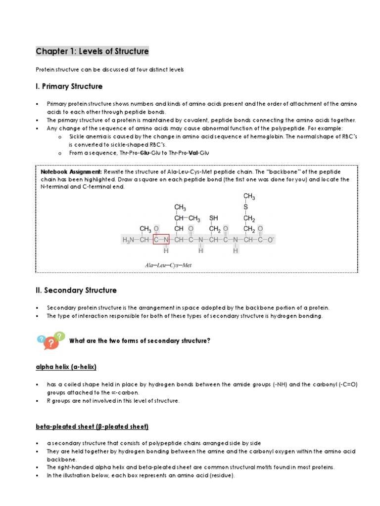 Unit 2 - Proteins Notes | PDF | Denaturation (Biochemistry) | Salt  (Chemistry)