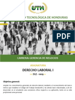 Modulo VIII Derecho Laboral