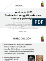 Seminario 23 - Evaluacion Cara Normal y Patologica - Archivo