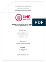 Producto Académico -Alcachofa, Lucuma, Pimiento y Yacón