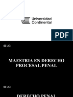 La constitucionalización del derecho penal y los derechos fundamentales protegidos