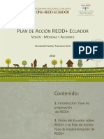 Plan de Acción REDD+ Ecuador: Visión, Medidas y Acciones