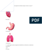 Prueba Ensayo Ciencias