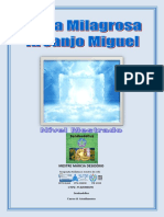 Portal Milagrosa Acanjo Miguel